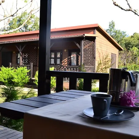 Kemping Complejo La Mata