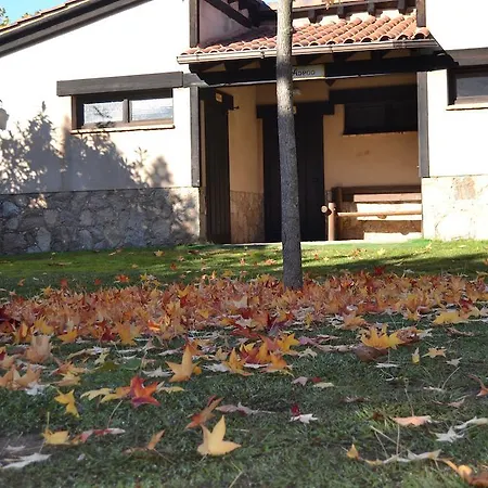 Kemping Complejo La Mata 2*