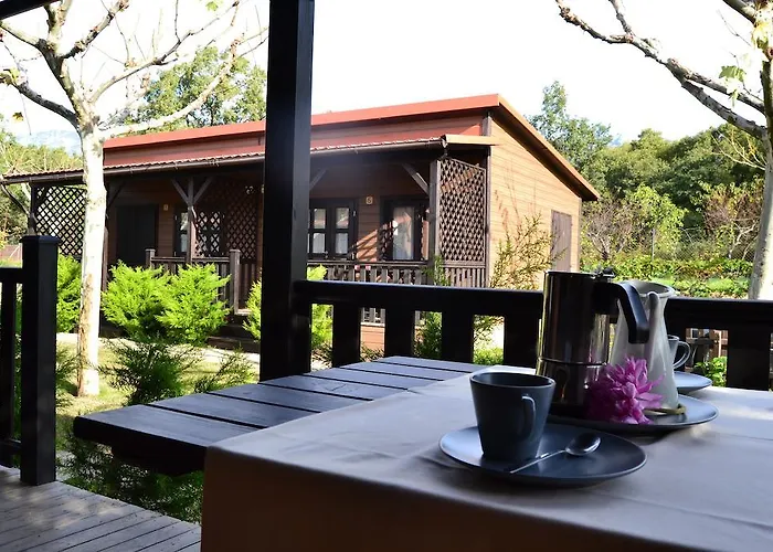 Kemping Complejo La Mata