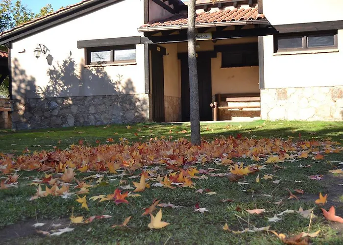 Kemping Complejo La Mata 2*