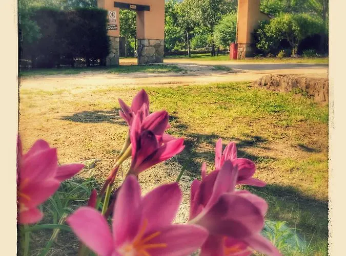 Complejo La Mata Madrigal de la Vera